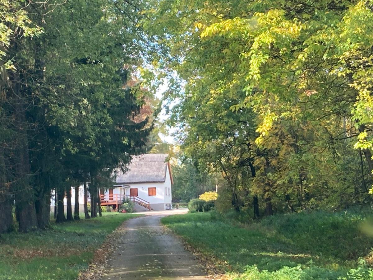 Wildente Vadaszhaz Tamási Exteriér fotografie